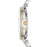 Montre Femme Michael Kors MINI DARCI - MK3405