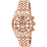 Montre Michael Kors pour femme MK5569