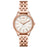Montre Michael Kors femme MK6641
